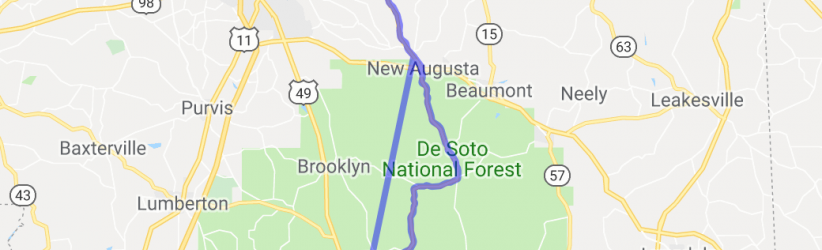 Through Desoto National Forest on Route 29 |  United States