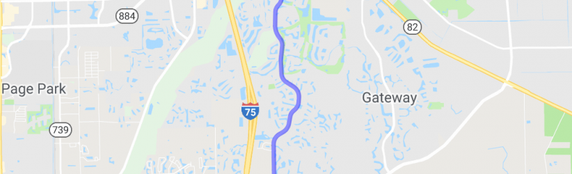 Treeline Ave |  United States