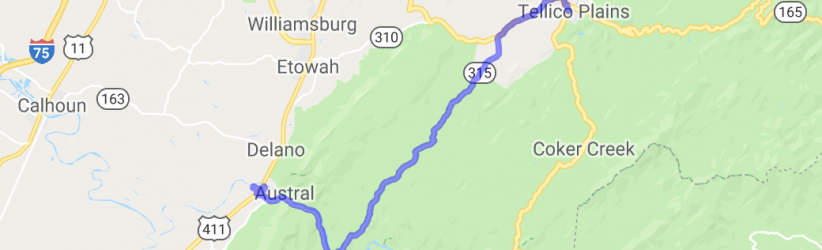 Wooded Delight |  United States