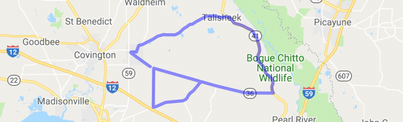 Get Me Outta the City Pronto! Mandeville Loop through the Woods |  United States