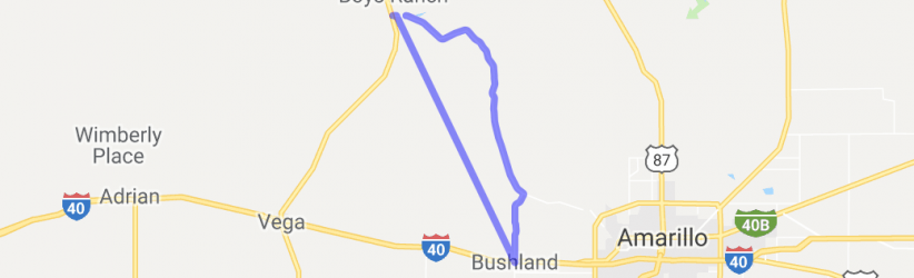 Bushland - Tascosa Surprise |  United States