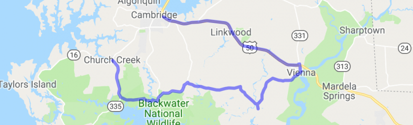 The Blackwater National Wildlife Refuge Loop |  United States