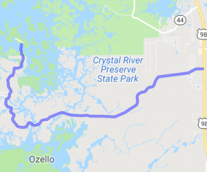 The Ozello Trail Ride |  United States