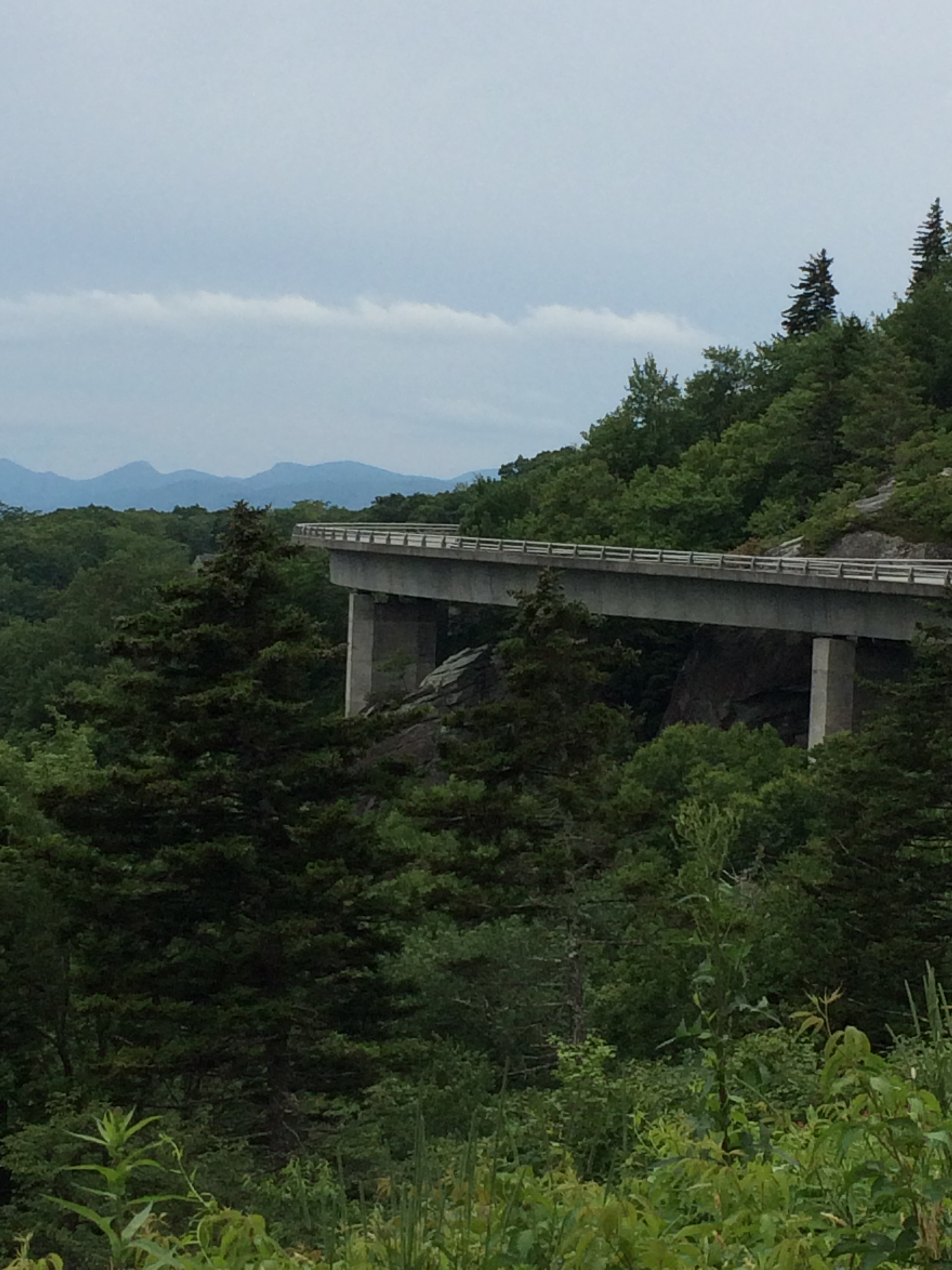 Lynn Cove Viaduct floating on the mountainside