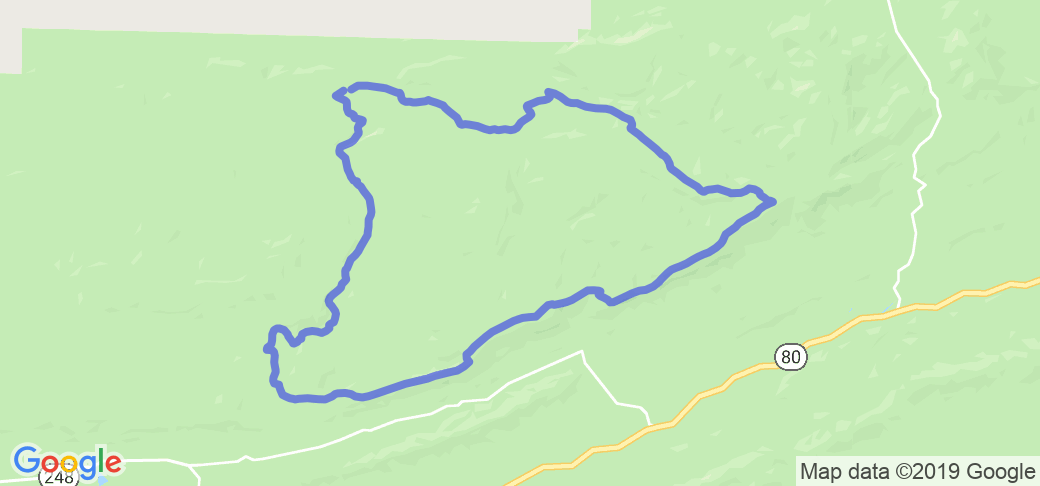Jack Creek Loop around Hogan Mountain |  United States