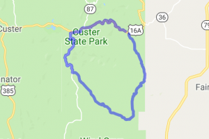 Custer State Park Wildlife Loop Road |  United States