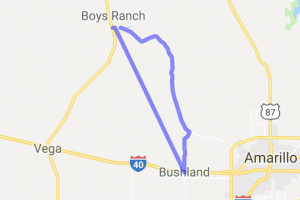 Bushland - Tascosa Surprise |  United States