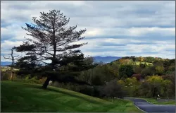 Top 10 Motorcycle Rides in the US South - Cover Image Top 10 Motorcycle Rides in the US South - Cover Image