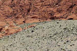 Red Rock Canyon Scenic Loop Motorcycle Ride Red Rock Canyon Scenic Loop Motorcycle Ride
