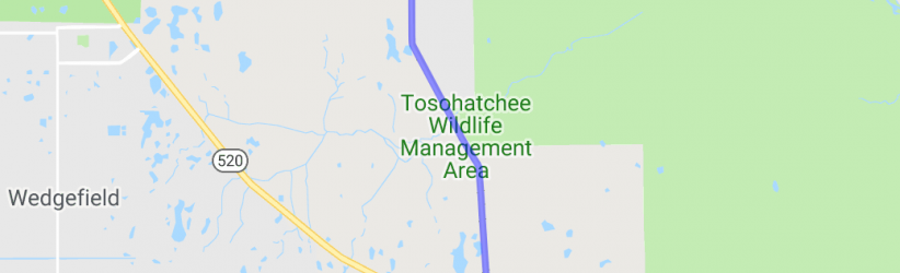 The Taylor Creek Nature Preserve Excursion |  United States