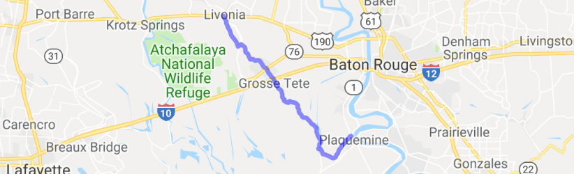 Bayou Browsing for the Monkey |  United States