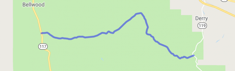 Longleaf Vista Cruise |  United States