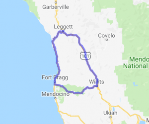 Twisty Redwood Ride |  United States